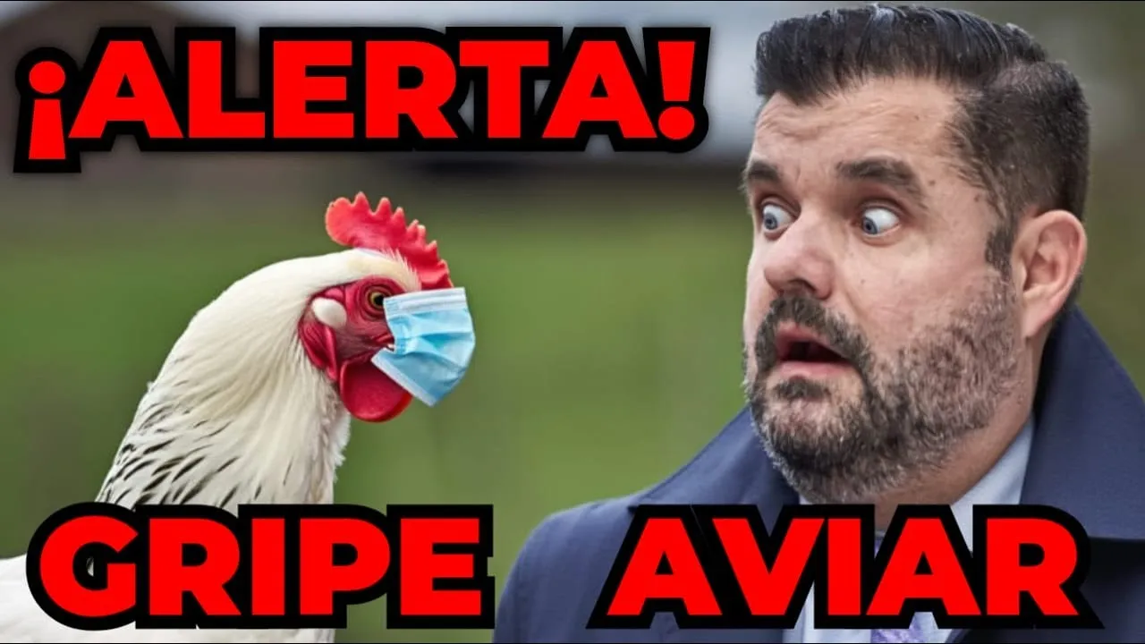 GRIPE AVIAR  | ¡PÁNICO GLOBAL! PRECIOS DE LOS HUEVOS POR LAS NUBES | CONFINAMIENTOS DE AVES 